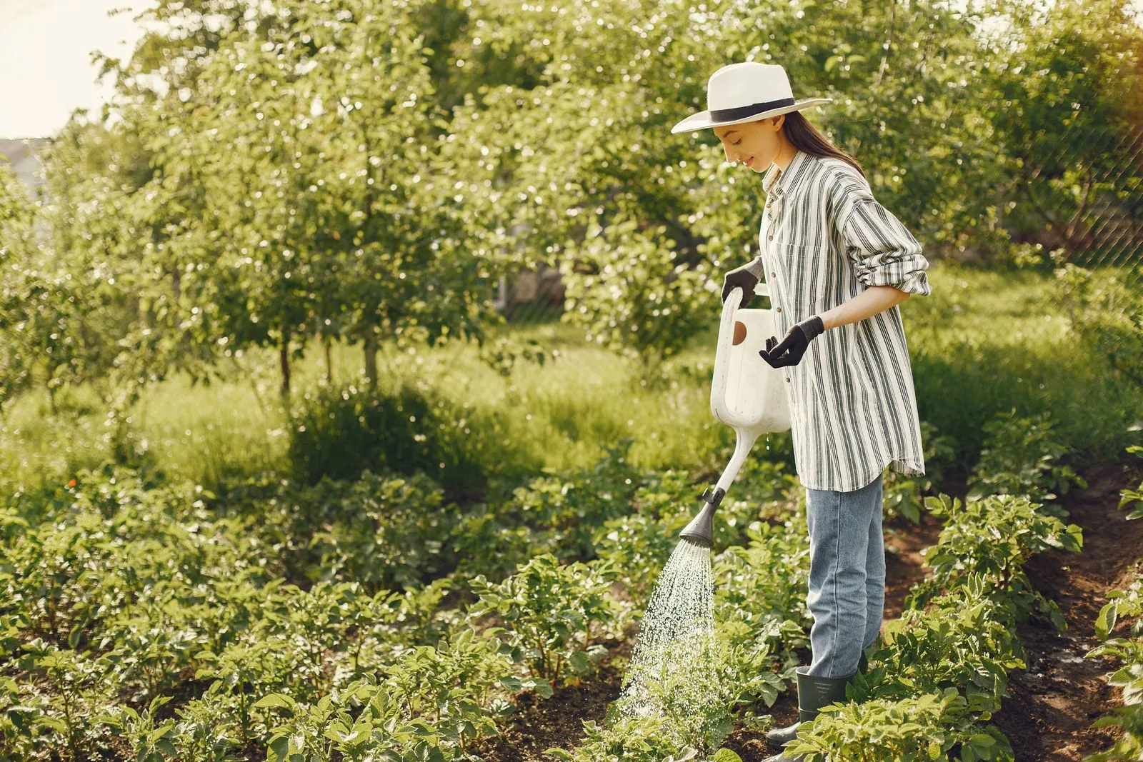 Persona regando plantas verdes en un jardín doméstico